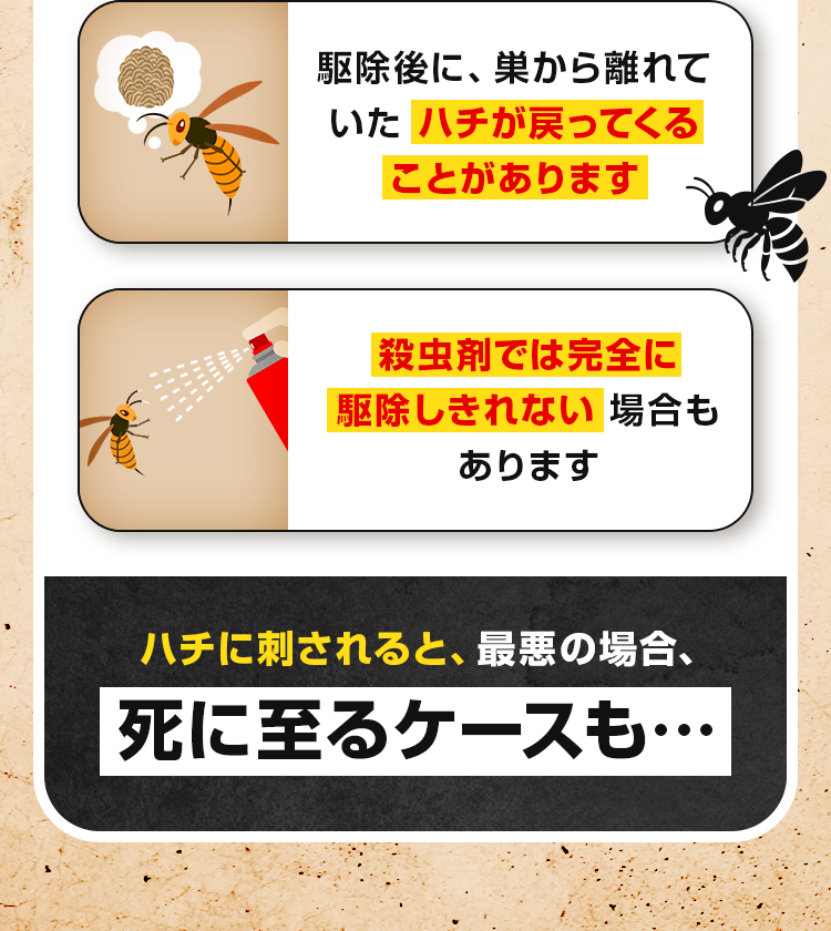 ハチに刺されると、最悪の場合、死に至るケースも…