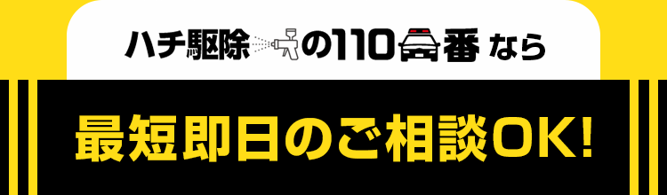 ハチ駆除の110番なら最短即日のご相談OK!