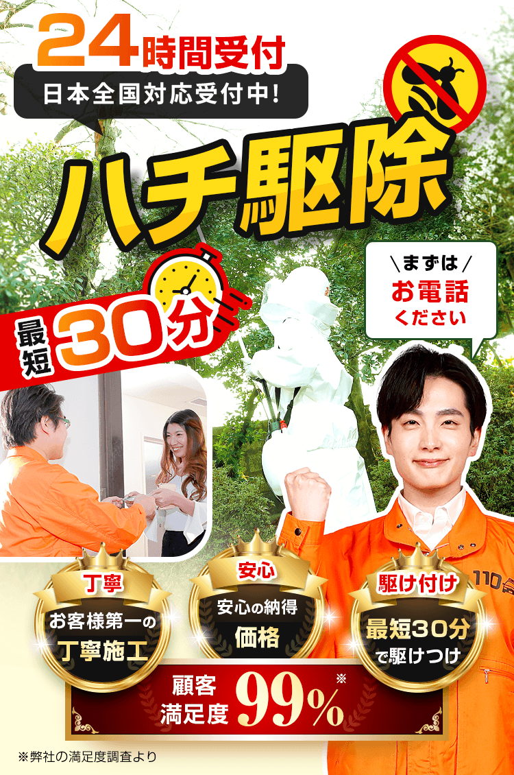 24時間日本全国対応受付中!ハチ駆除最短30分 まずはお電話ください