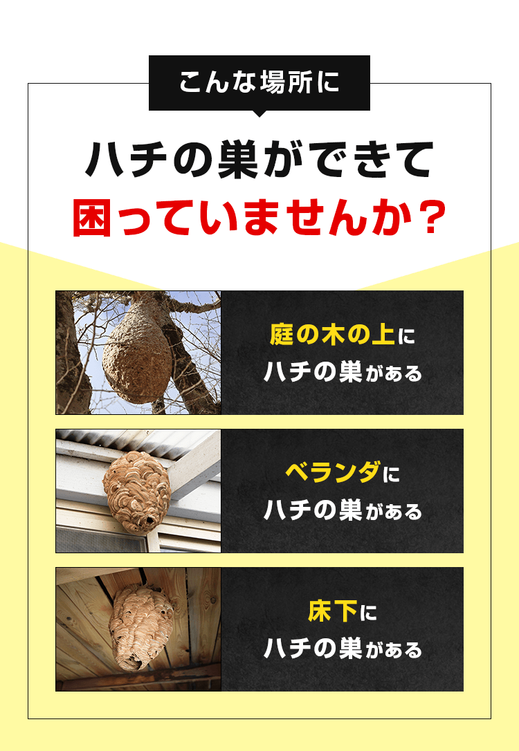 こんな場所にハチの巣ができて困っていませんか?