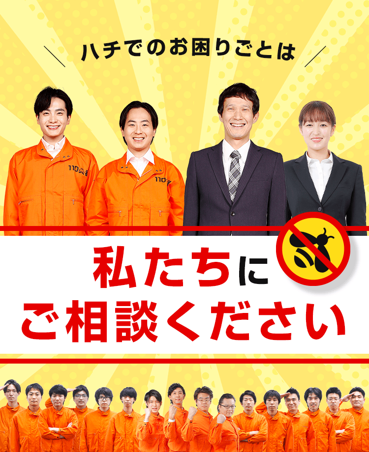 ハチでのお困りごとは私たちにご相談ください