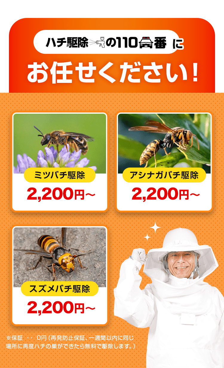 ミツバチ駆除、アシナガバチ駆除、スズメバチ駆除…ハチ駆除の110番にお任せください!